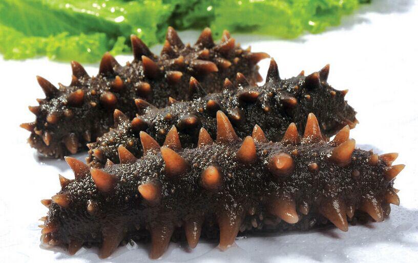  Sea cu...